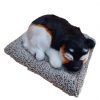 CHÚ CHÓ TAM THỂ CỰC ĐẸP THAN HOẠT TÍNH KHỬ MÙI & TRANG TRÍ TAPLO Ô TÔ LOẠI LỚN 28CM X 21CM
