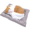 CHÚ MÈO VÀNG DỄ THƯƠNG THAN HOẠT TÍNH KHỬ MÙI & TRANG TRÍ TAPLO Ô TÔ LOẠI LỚN 28CM X 21CM