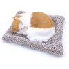 CHÚ MÈO VÀNG DỄ THƯƠNG THAN HOẠT TÍNH KHỬ MÙI & TRANG TRÍ TAPLO Ô TÔ LOẠI LỚN 28CM X 21CM